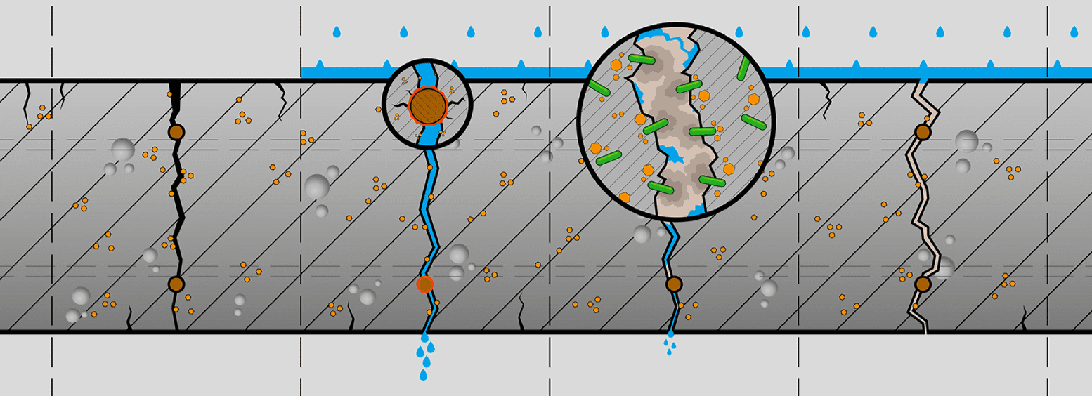 Waterproof concrete infographic